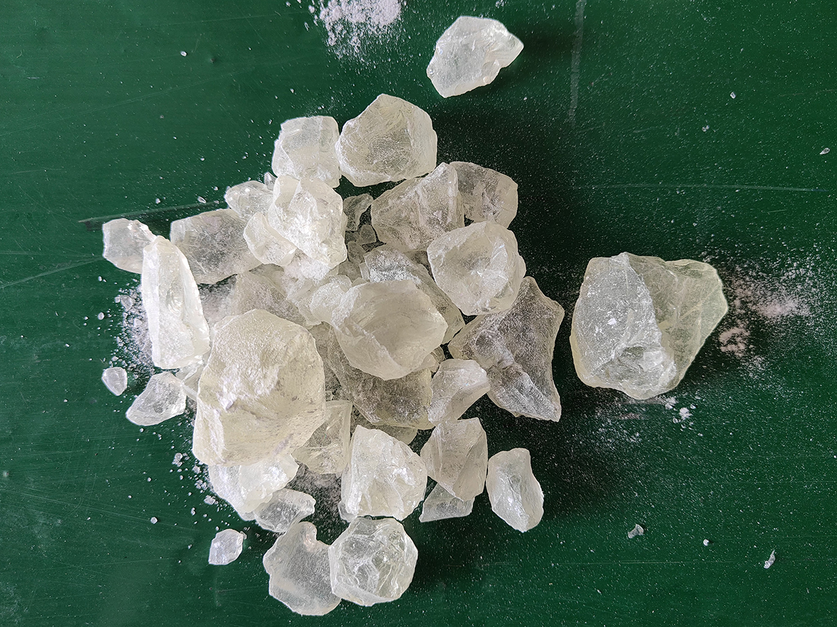 SYL-01